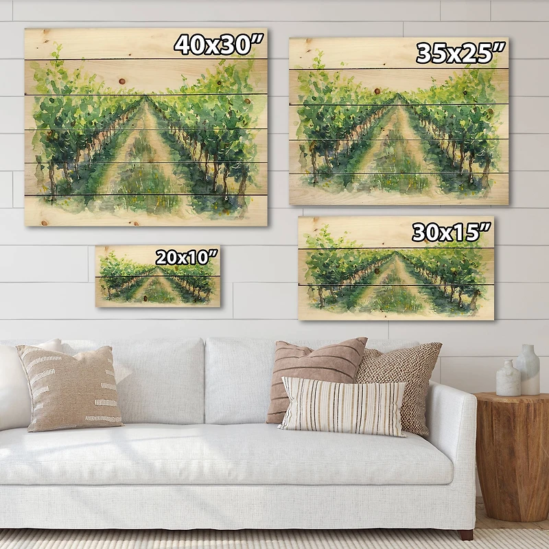 Designart - Rural Scene Vineyard Road