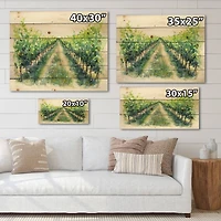 Designart - Rural Scene Vineyard Road