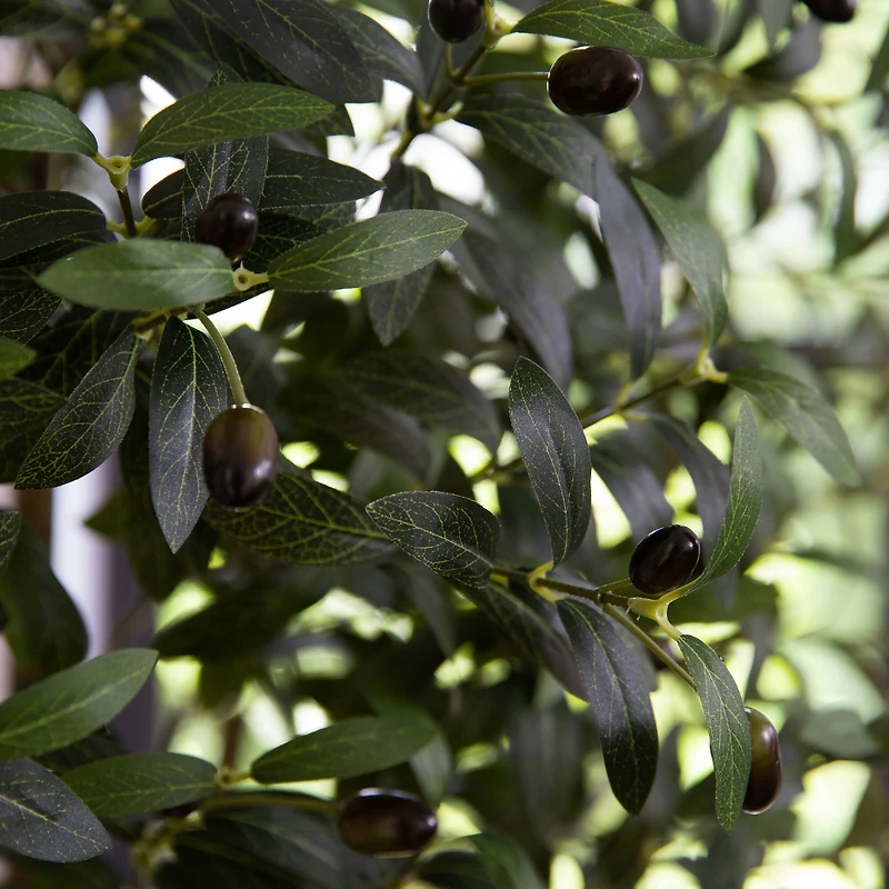 6ft. Artificial Olive Tree with White Decorative Planter
