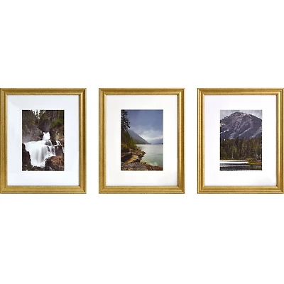3 Pack Gallery™ Gold Frame with Mat by Studio Décor