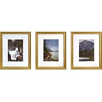 3 Pack Gallery™ Gold Frame with Mat by Studio Décor