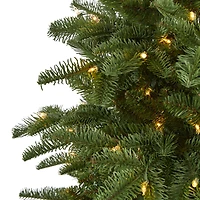 6ft. Pre-Lit South Carolina Fir Artificial Christmas Tree, Clear LED Lights