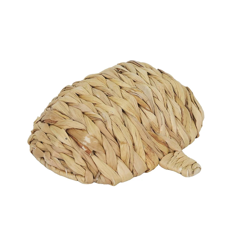 Natural Woven Water Hyacinth Pumpkin Basket by Ashland