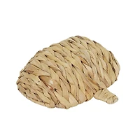 Natural Woven Water Hyacinth Pumpkin Basket by Ashland