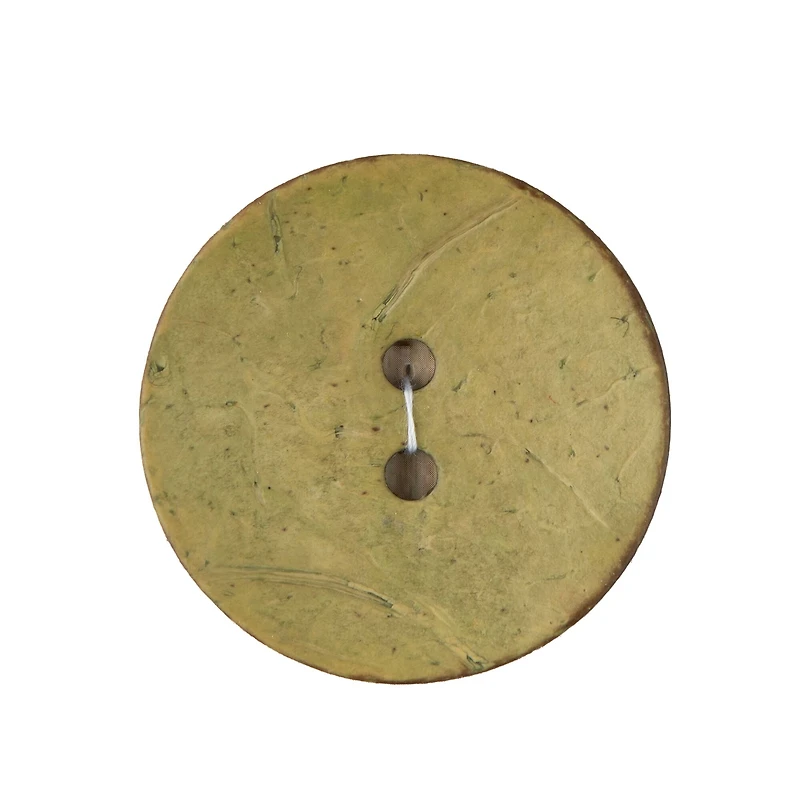 Organic Elements 2" Yellow Green Coconut Button
