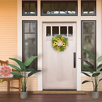 24'' Green and Yellow Sunflower Floral Wreath