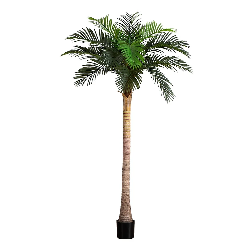 8ft. Potted Coconut Palm Tree