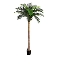 8ft. Potted Coconut Palm Tree