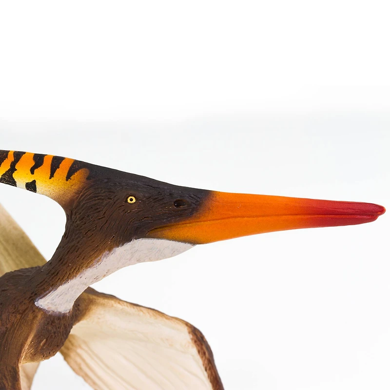 Safari Ltd® Pteranodon