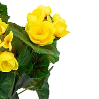 11" Yellow Potted Silk Begonia Floral Arrangement