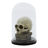 9.5" Skull on Books Cloche Tabletop Décor by Ashland®