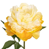 29" Yellow Peony Stem by Ashland®