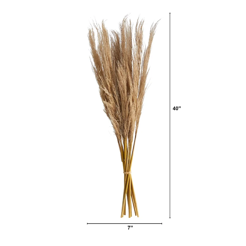 3ft. Dried Natural Pampas Grass Bundle, 2ct.
