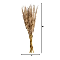 3ft. Dried Natural Pampas Grass Bundle, 2ct.