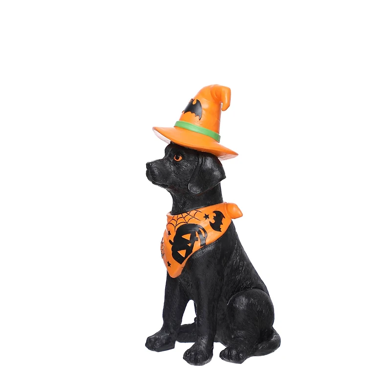 14" Sitting Dog with Witch Hat Tabletop Décor by Ashland®
