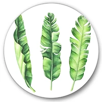 Designart - Tropical Banana Leaves Set