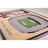 NCAA College Sports 3D StadiumViews Picture Frame