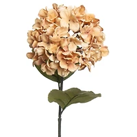 28" Cream Hydrangea Stem by Ashland®