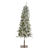 5.5ft. Pre-Lit Flocked Washington Alpine Artificial Christmas Tree, Warm White LED Lights
