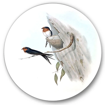 Designart - Vintage Australian Bird Illustrations II