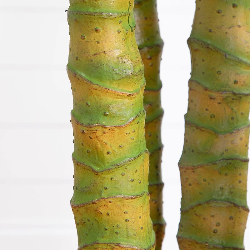 9.5ft. Potted Giant 5 Stalk Areca Palm Tree