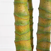 9.5ft. Potted Giant 5 Stalk Areca Palm Tree