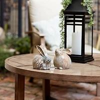 6.5" Marble Design Rabbit Figurine Set