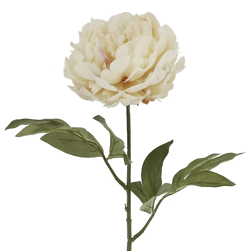 28" Peony Stem by Ashland