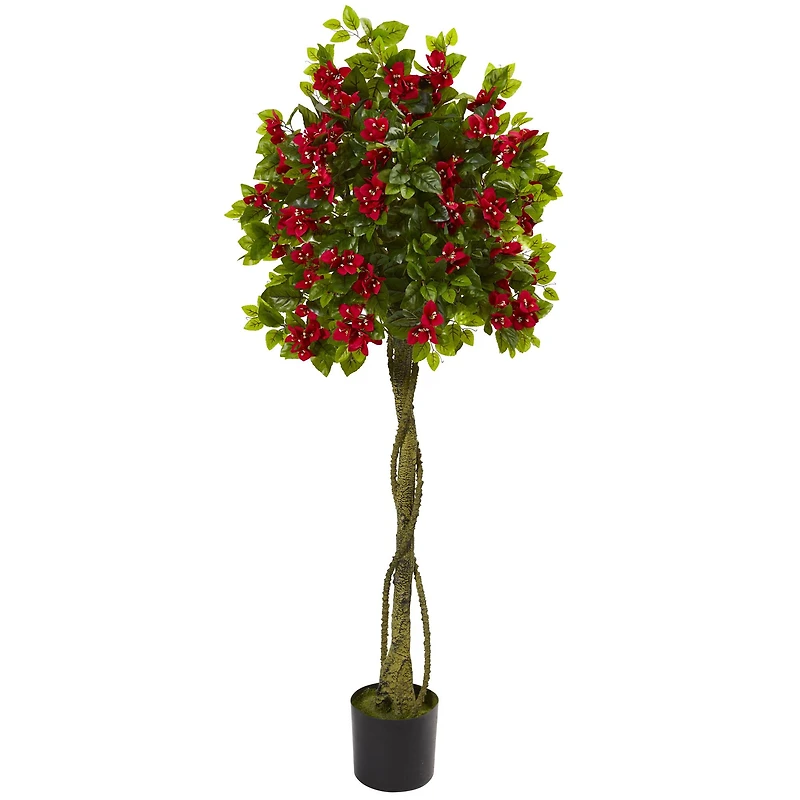 5ft. Potted Bougainvillea Topiary Tree