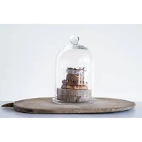 Hello Honey® Glass Cloche with Clear Glass Plate Set