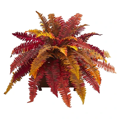 19" Autumn Boston Fern in Classic Planter