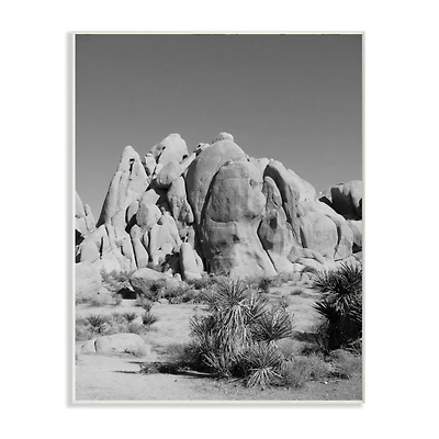 Stupell Industries Black & White Desert Landscape Photograph Wall Plaque