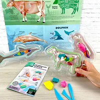 ArtSkills® Epic Lab Veterinary Science STEM Kit