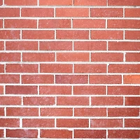 HangZ™ 10lb. Brick Hooks, 2ct.