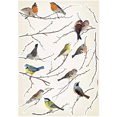 Komar Birds Wall Stickers