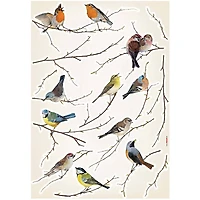 Komar Birds Wall Stickers