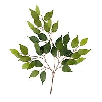12 Pack: 23" Ficus Spray Floral Essentials by Ashland®