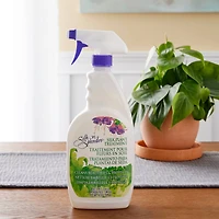 Silk'n Splendor® Silk Plant Treatment