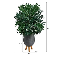 3ft. Bamboo Palm Plant in Gray Planter with Stand