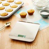 Digital Food Scale by Celebrate It®