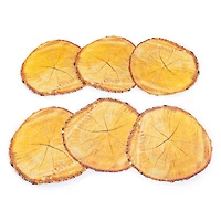 Junior Learning® Nature Trail Educational Floor Stickers