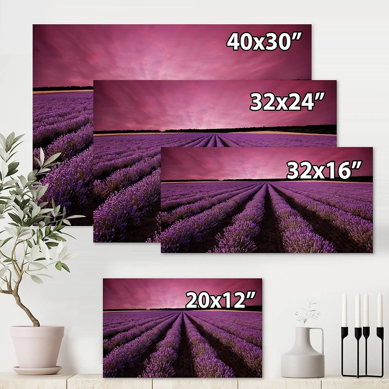 Designart - Sunrise & Dramatic Clouds Over Lavender Field XI