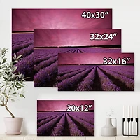 Designart - Sunrise & Dramatic Clouds Over Lavender Field XI