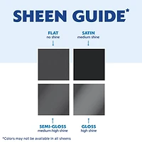 Rust-Oleum® Painter's Touch® 2X Ultra Cover® Premium High Gloss Spray Paint