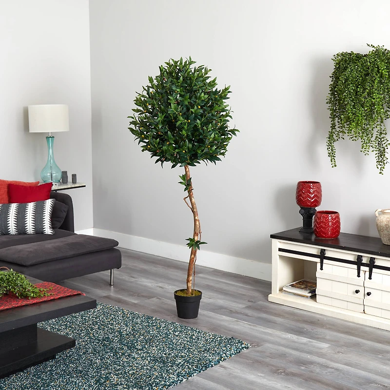 5.5ft. Potted Olive Topiary Tree