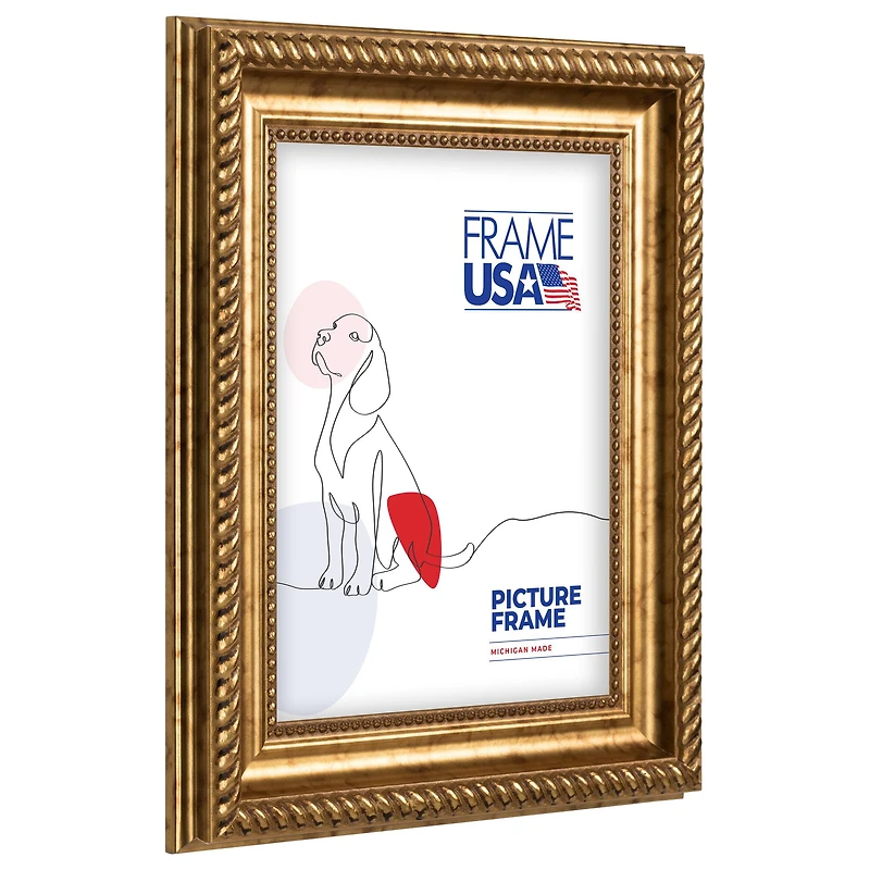 Frame USA Napolean Gold Single Image Picture Frame