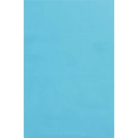 Pacon® Spectra® Art Tissue™ 20" x 30" Sky Blue Sheets, 24ct.