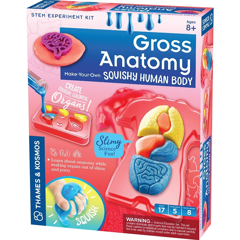 Thames & Kosmos Gross Anatomy Make-Your-Own Squishy Human Body