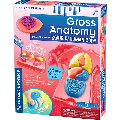 Thames & Kosmos Gross Anatomy Make-Your-Own Squishy Human Body