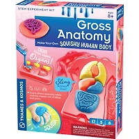 Thames & Kosmos Gross Anatomy Make-Your-Own Squishy Human Body
